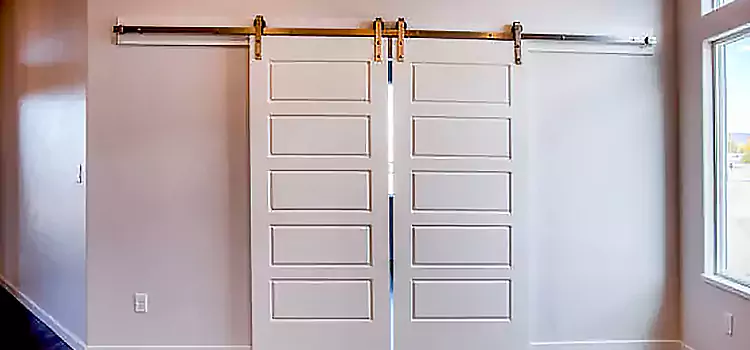 Glass Barn Door with Installation Hardware Kit Millbrae