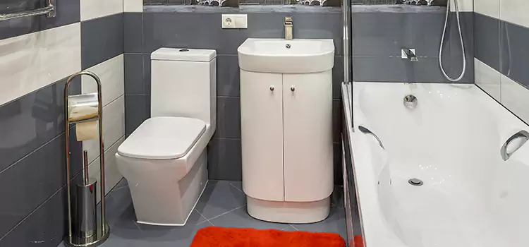 Hansgrohe Shaving Mirror Millbrae